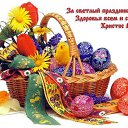 ���� ���������, ����, 49 ��� - ��������� 16 ������ 2017 � ������ ������ ��������