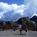  , , 51  -  5  2017    2017