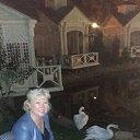 ���� �����, ���, 66 ��� - ��������� 19 ���� 2017 � ������ ���� ����������