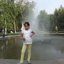  , , 62  -  27  2017     .