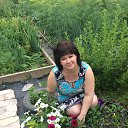 ���� ��������, ���������, 41 ��� - ��������� 22 ���� 2017