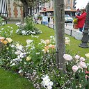 ���� ���������, �����-��������� - ��������� 12 ��� 2017 � ������ ������������ �� ������ - ��� 2017�