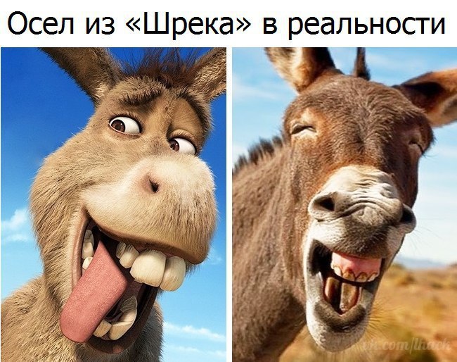  - 29  2017  17:34