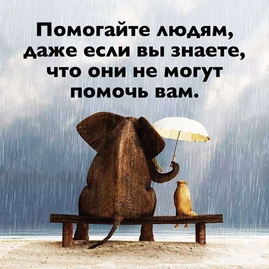 LIFE -  - 21  2017  04:29