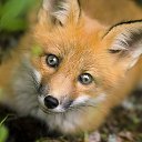 ���� ���� �������, ������, 70 ��� - ��������� 14 ������ 2017 � ������ ���� ����������