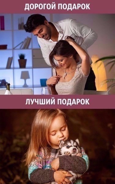 9  ,     . - 2