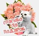 , -, 72  -  24  2017    