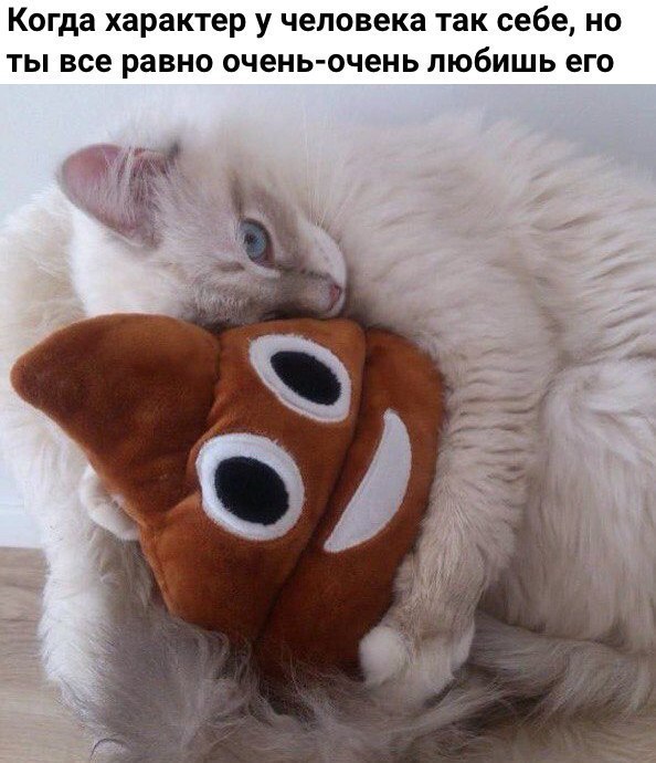 ��������� � ��� � ��� - 28 �������� 2017 � 07:46