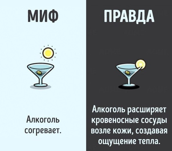 10    ,   . #@rules4life - 7