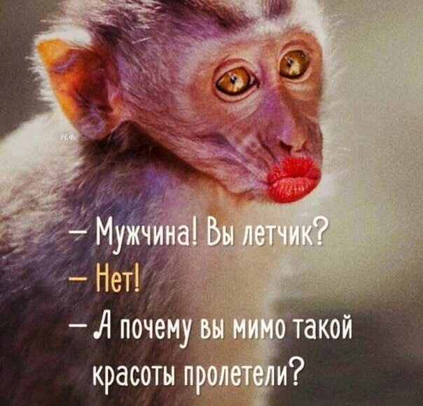   - 27  2017  17:12