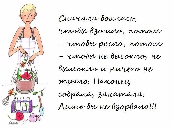   - 12  2017  16:06