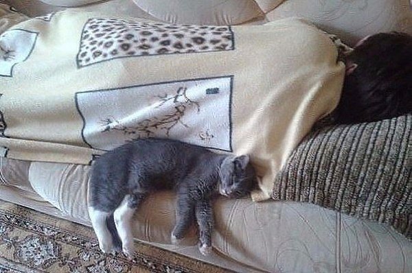 ,  )))