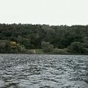 ���� ���������, ������, 55 ��� - ��������� 28 ���� 2017 � ������ ������ ��������