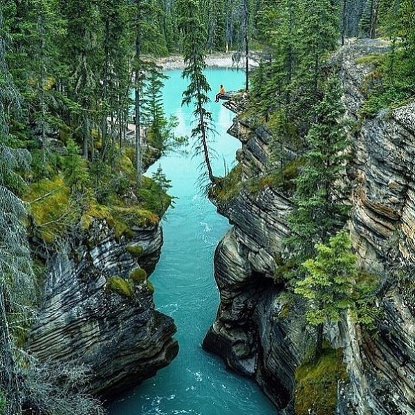 Athabasca Falls in Alberta