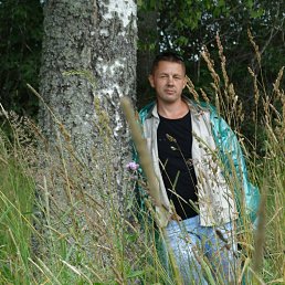 ���������, ��������, 50 ���