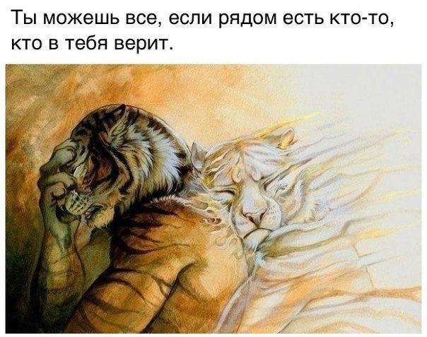   -  ,  -  - 22  2017  02:09
