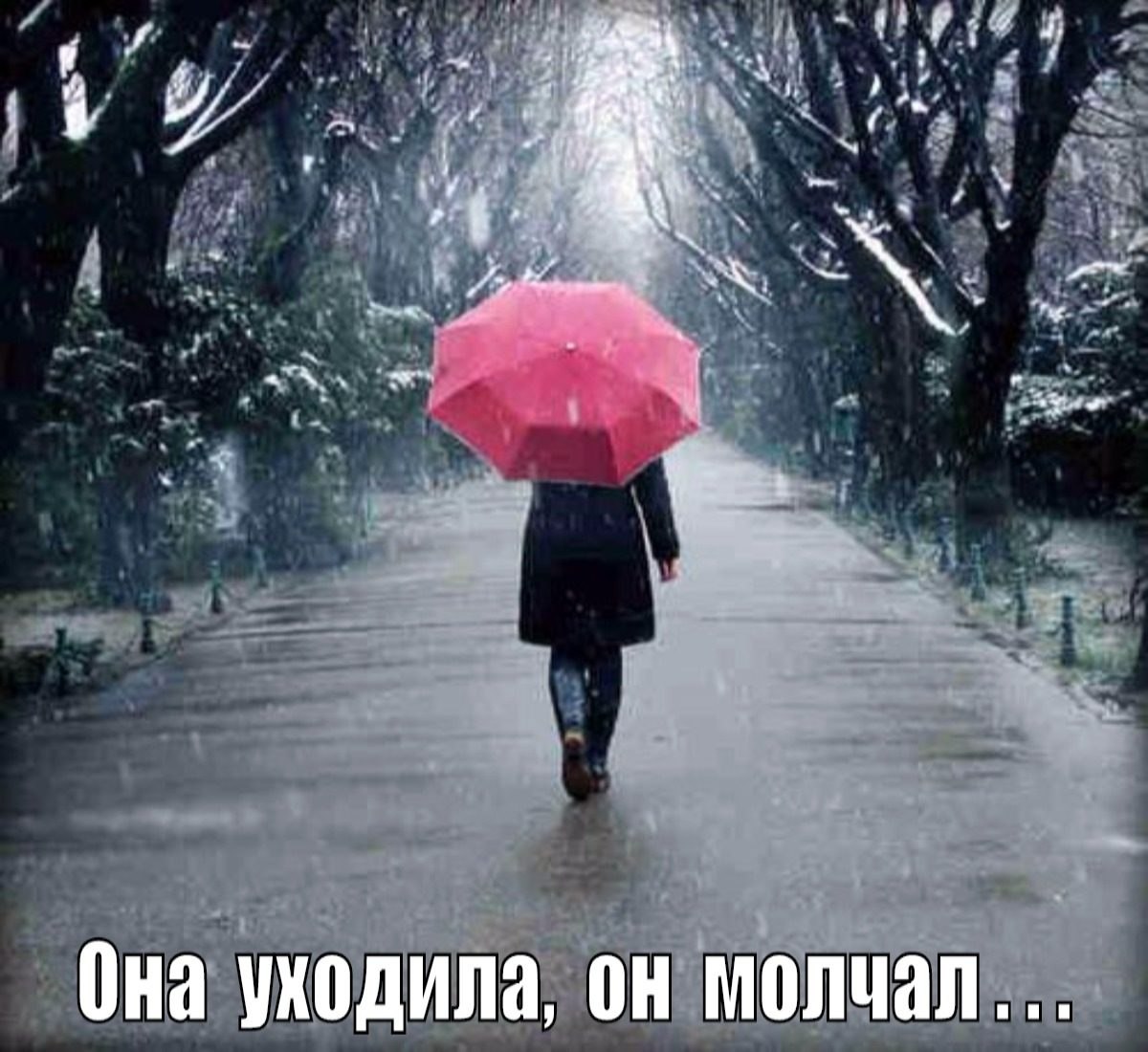  ,  ,      ...   ,    ...