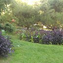  , , 60  -  16  2017    -, 2017