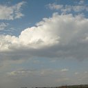  , , 36  -  3  2017    ( 2017)