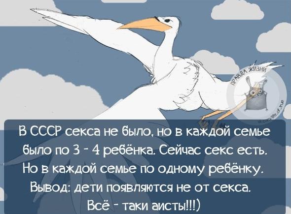  - 13  2017  13:51 - 2