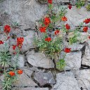  , , 60  -  23  2017    - 2017