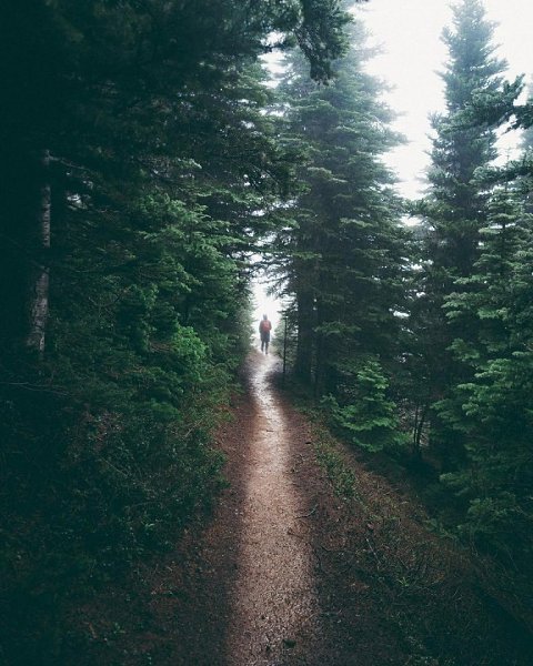 ������� ����-������ ���� - 5