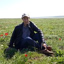 ���� �������, ������, 54 ���� - ��������� 20 ������ 2017 � ������ ���� ����������