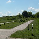 ���� �������, ������, 36 ��� - ��������� 25 ���� 2017 � ������ �������� �� ������ ������ (��������� - ������) (���� 2017)�