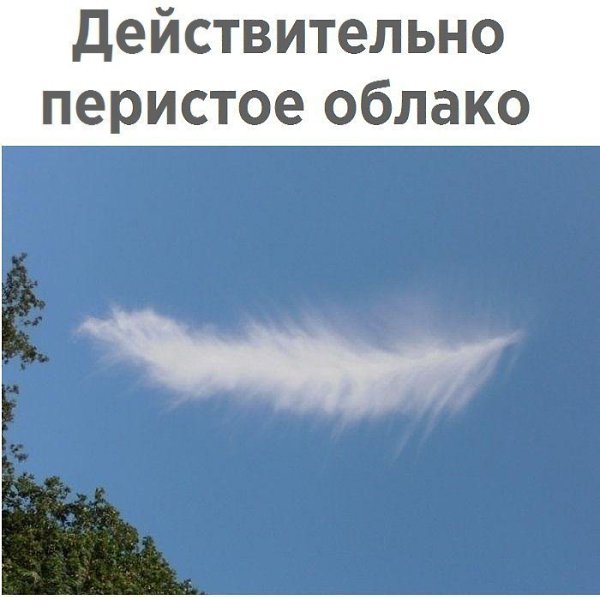   :    - 18  2017  21:42