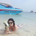 ���� ��������, ����������, 50 ��� - ��������� 6 ������ 2017 � ������ ���� ����������