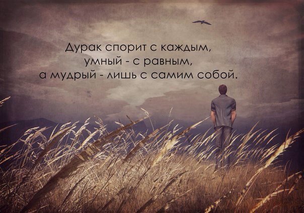  | ,  - 9  2017  16:31