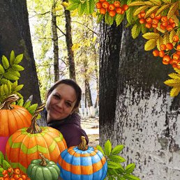 ��������, �����������, 41 ���