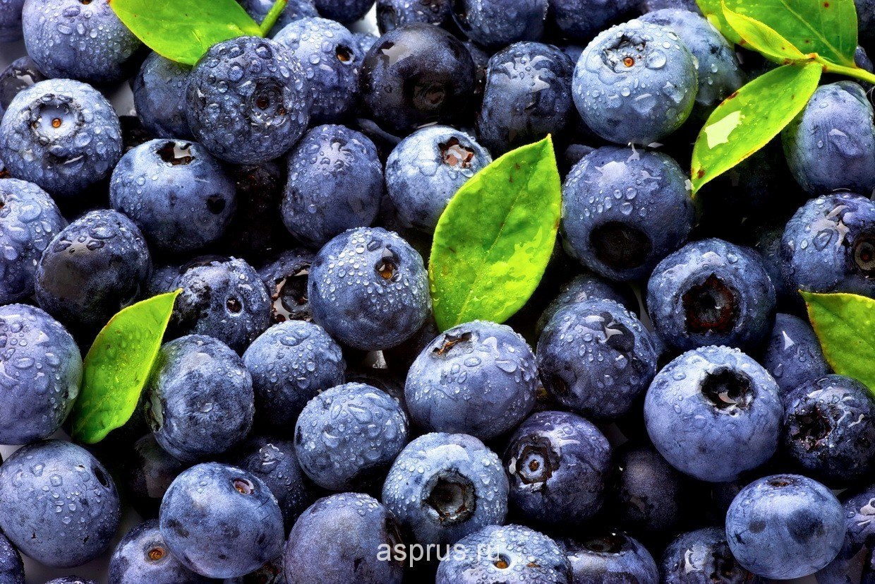    ? - 3