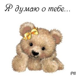 ���� ����, ���������, 43 ���� - ��������� 1 ������ 2017