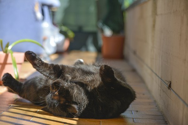      :3 - 3
