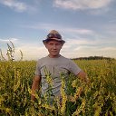 ���� �����, ������, 44 ���� - ��������� 5 ������� 2017 � ������ ���� ����������