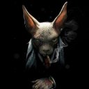 ���� ������, ������, 56 ��� - ��������� 11 ��� 2017 � ������ ������ ��������