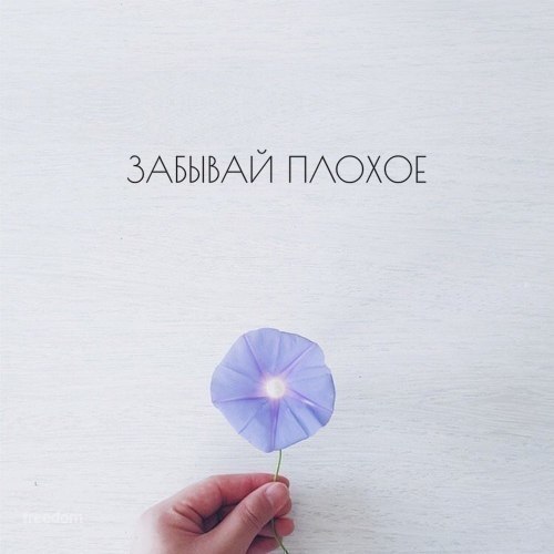 Забудь то, что в прошлом ранило тебя, .но никогда не забывай, чему это тебя научило..