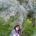  , , 40  -  26  2017   18.00.2017     ))