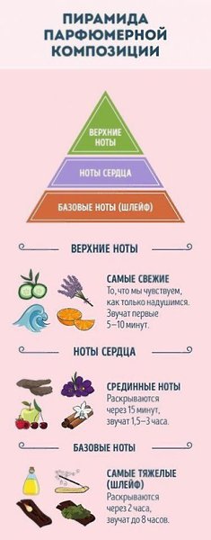 Для тех, кто хочет разбираться в парфюме.#интересное@rules4life - 4