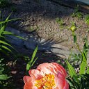    ..   , 4-,   )))   :)))