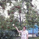 ���� ������, ������ - ��������� 5 ������� 2017 � ������ ���������