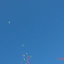 ���� ����1234572, �������, 28 ��� - ��������� 14 �������� 2017 � ������ ������ ��������