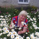 ���� �������, ������ - ��������� 13 ���� 2017 � ������ ���� ����������