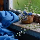 ���� �����, ������ - ��������� 8 ��� 2017 � ������ ���� ����������