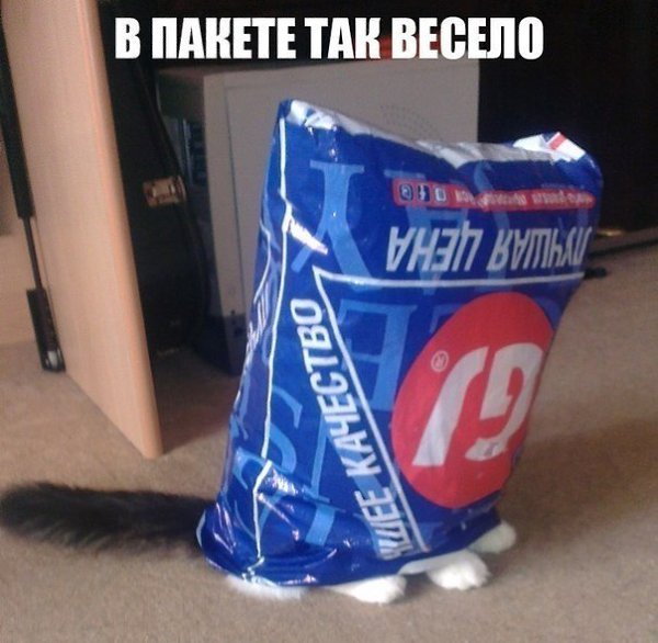 ��� �������� �������� - 5 �������� 2017 � 22:11