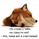 ���� ����������, ������ - ��������� 20 �������� 2017 � ������ ���� ����������