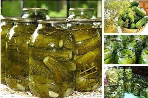 Самый вкусный рецепт соленых огурчиков, которым пользуюсь уже 20 лет! Для тех, кто любит хрустящей и ...