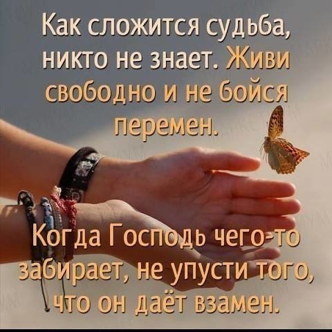   - 2  2017  13:58