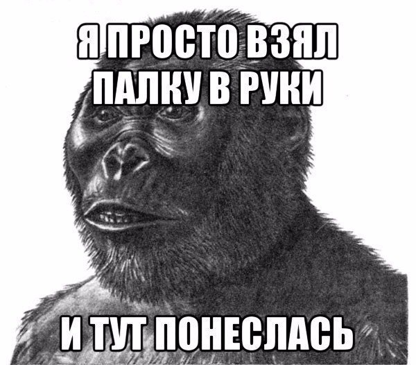    - 14  2017  12:26